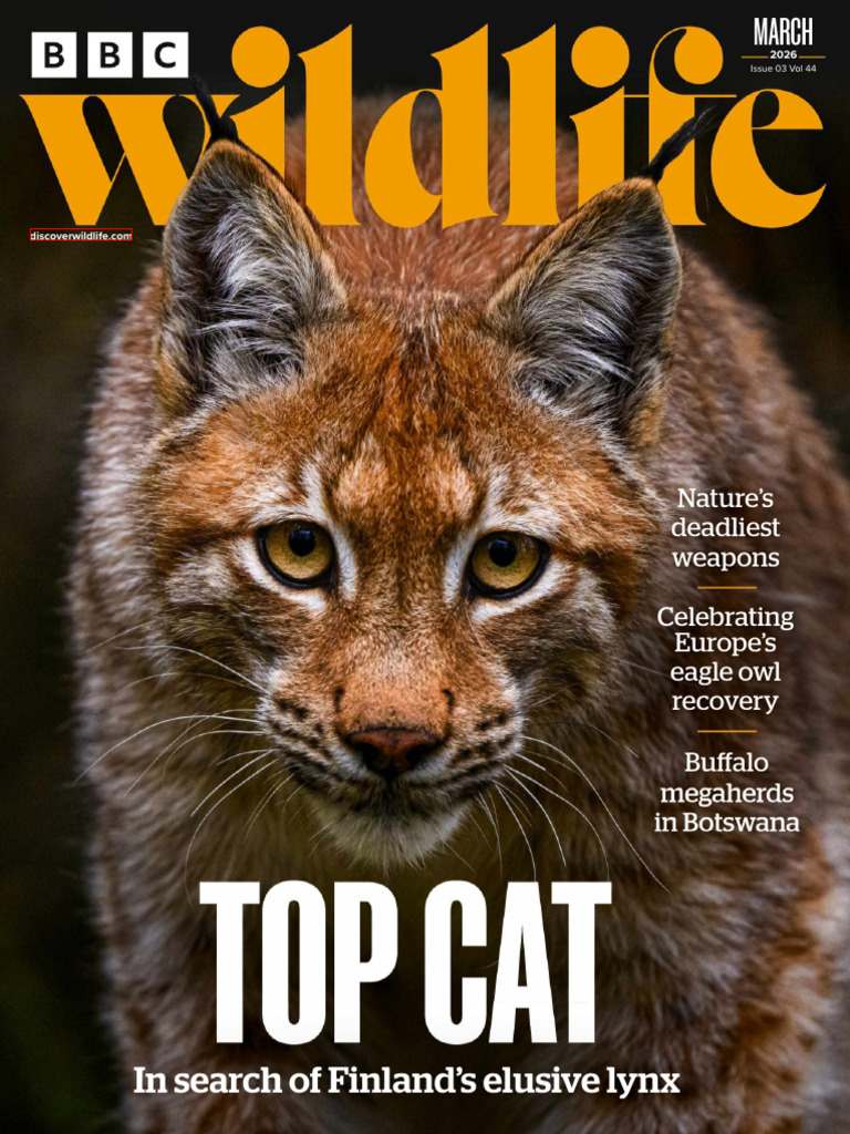 BBC Wildlife Magazine - Vol 44 Issue 03 March 2026 - BBC Wildlife ...