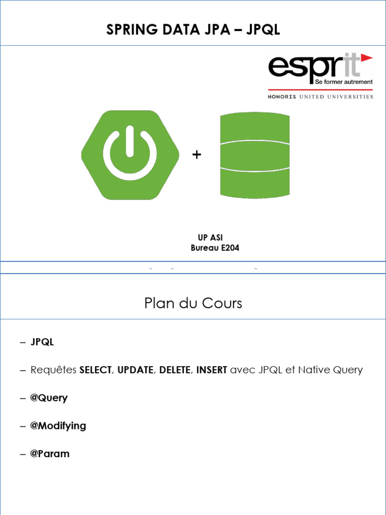 8-Spring Data Jpa - JPQL | PDF