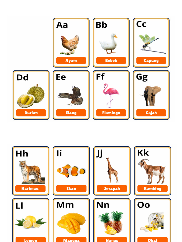 Flashcard | PDF