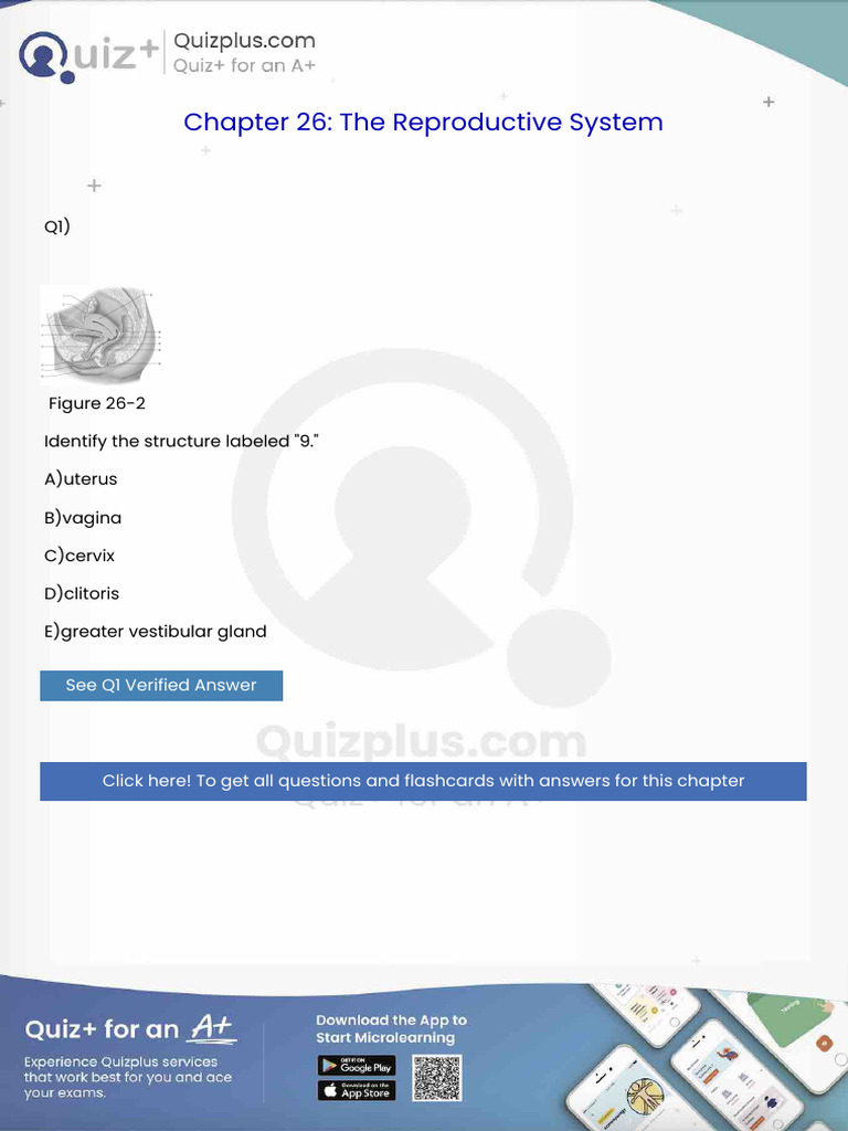 Identify The Structure Labeled 9 | PDF