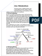 Genetics Lecture #2 , Ahmad Shboul