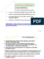 Purines and Pyrimidines