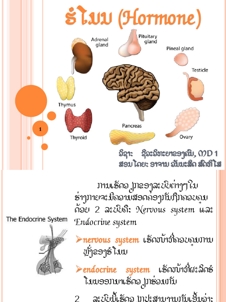 BIOLOGY 4 Hormones | PDF