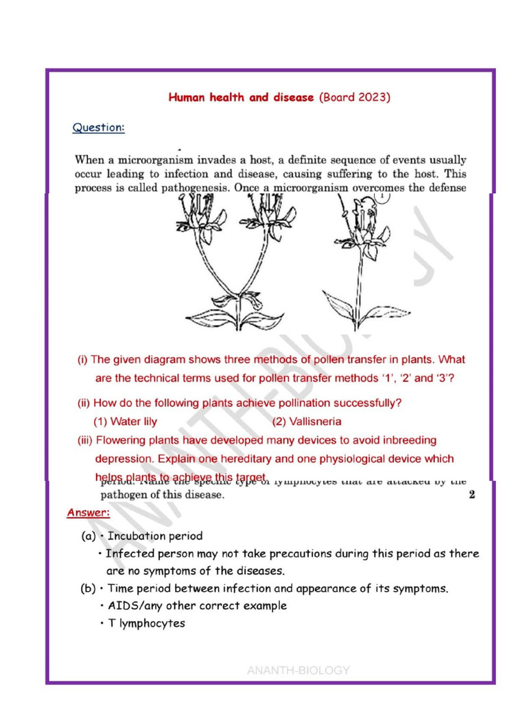 Xii Diagram Based Questions | PDF