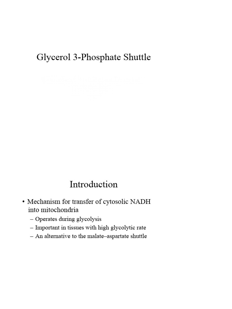 Glycerol 3 Phosphate Shuttle | PDF