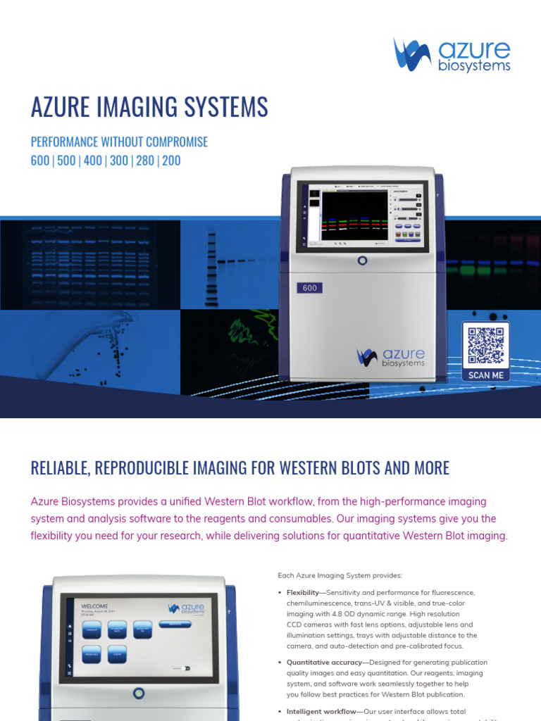 Azure Imaging Systems 200 600 Comparisons | PDF | Western Blot ...