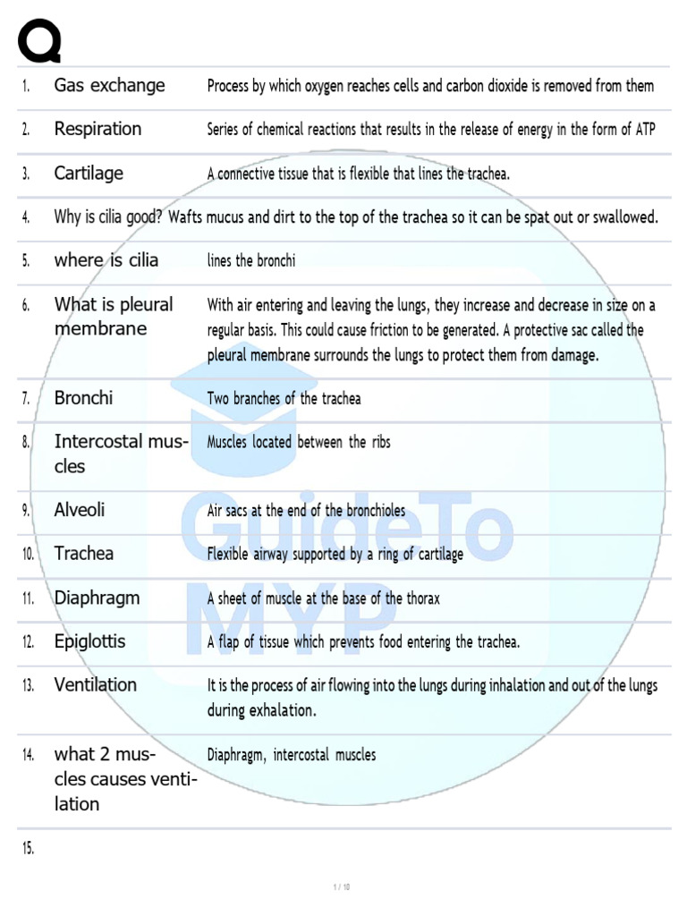 Gas Exchange Flashcards | PDF | Cellular Respiration | Vein