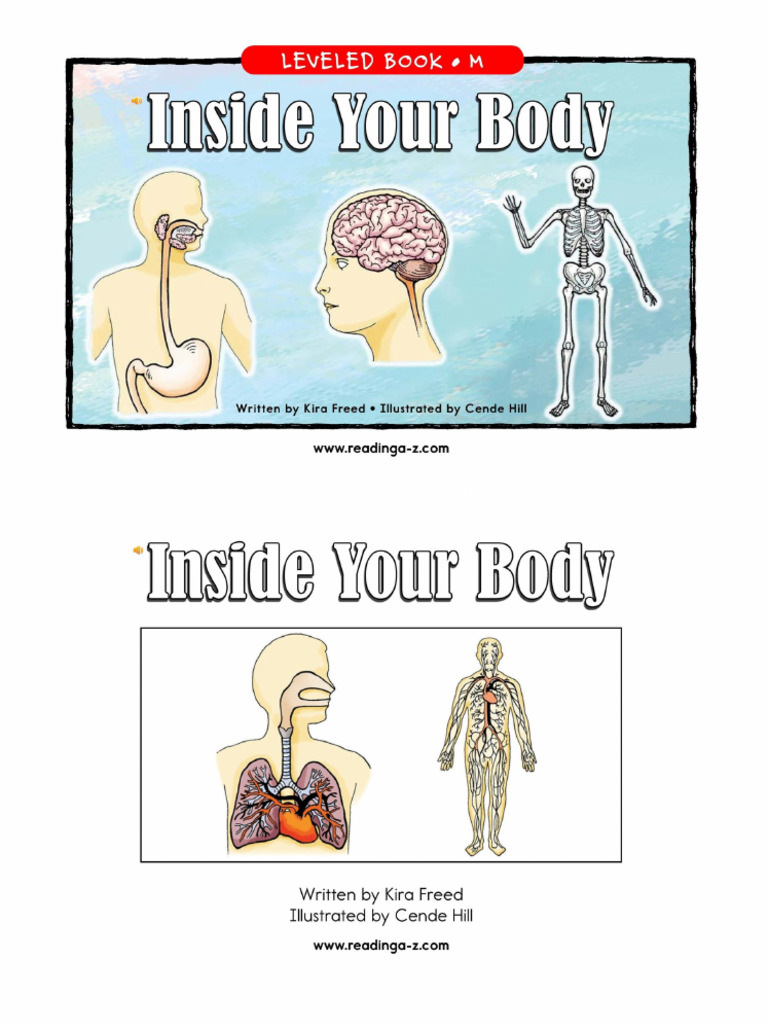 Inside Your Body | PDF