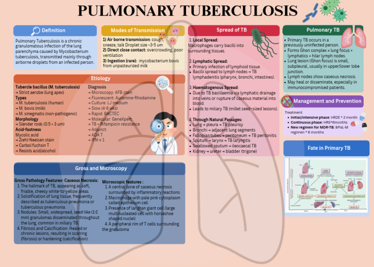 Pulmonary Tuberculosis 2 | PDF