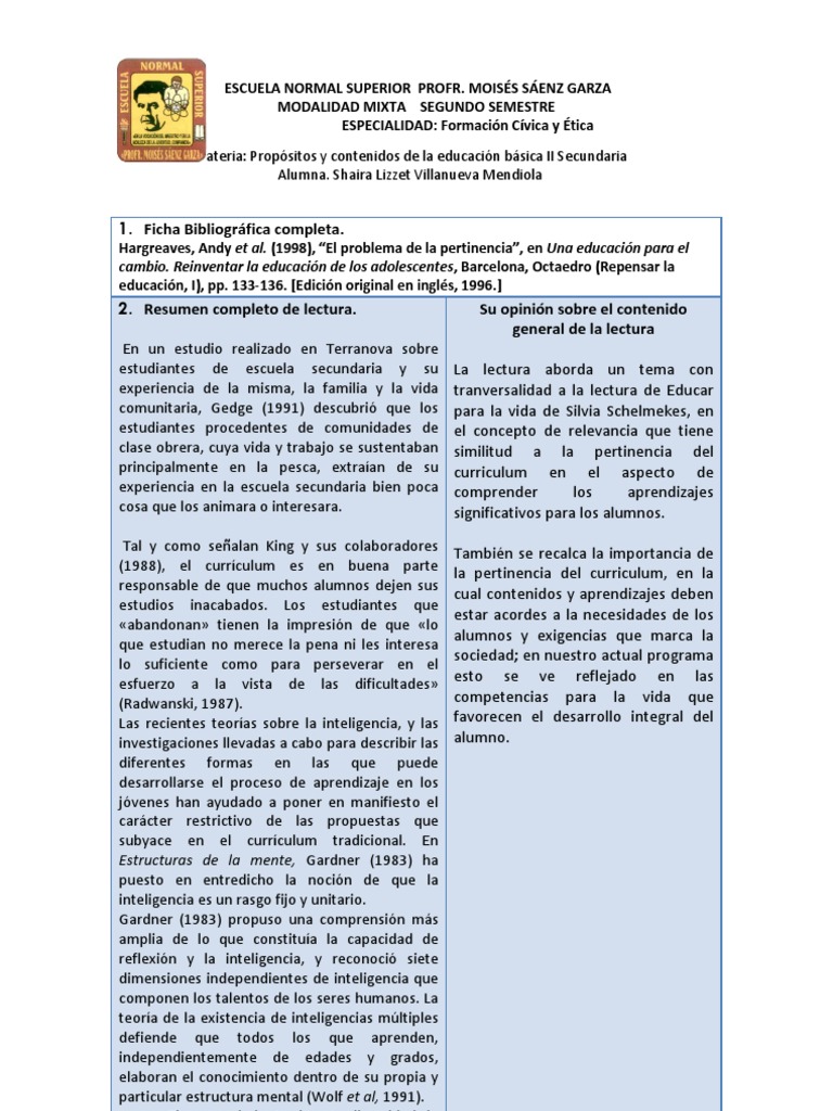 Cuadro El Problema de La Pertinencia Plan de estudios