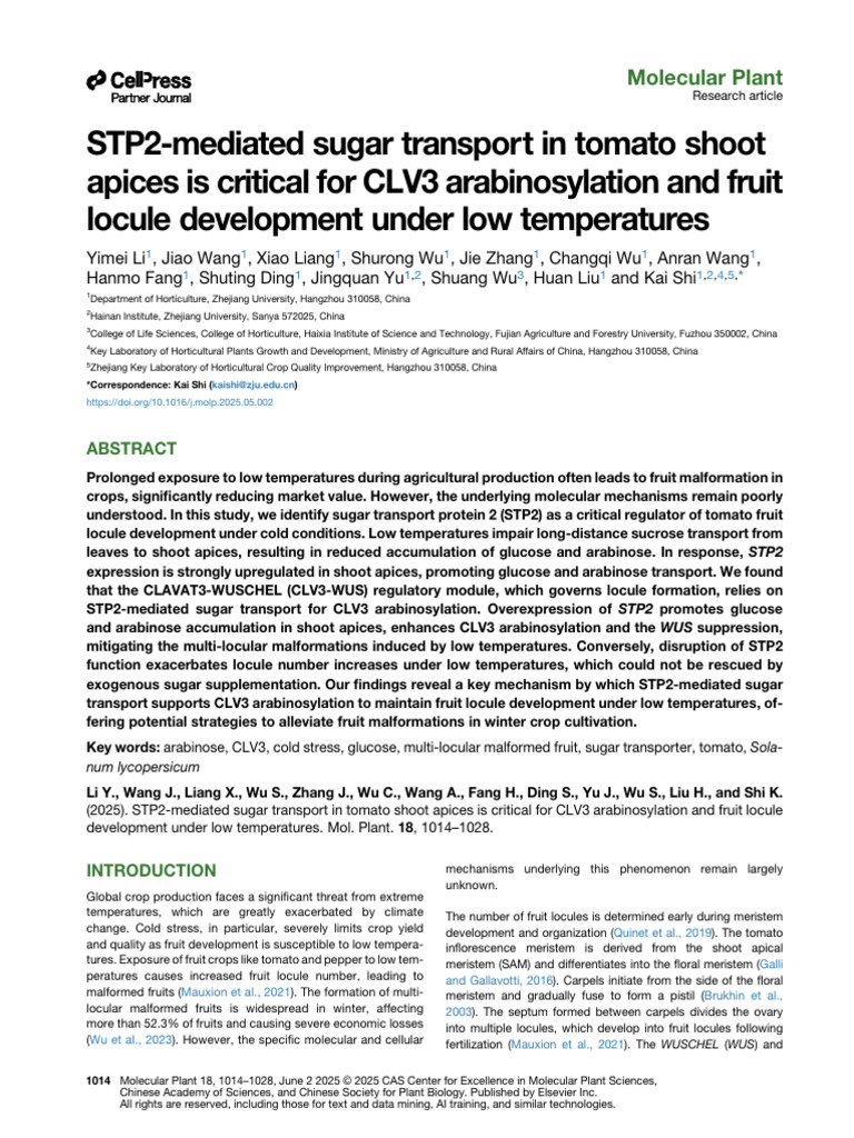 STP2-mediated sugar transport in tomato shoot apices is critical for ...