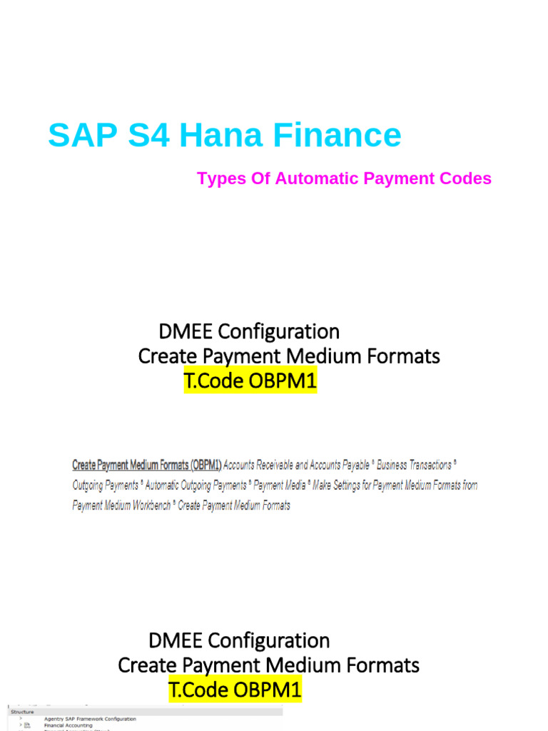DMEE Automatic Payment Program | PDF | Accounts Payable | Computing