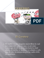 Cerebro