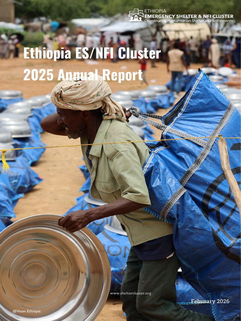 Ethiopia ESNFI Cluster Annual Report 2025 | PDF | Internally Displaced ...