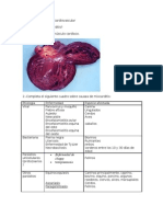 Patologia Veterinaria: Cuestionario de Cardiovascular