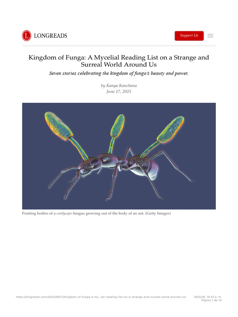 Kingdom of Funga - A Mycelial Reading List On A Strange and Surreal ...