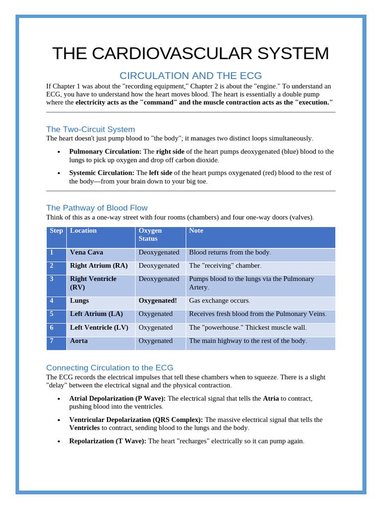The Cardiovascular System | PDF | Heart Valve | Heart