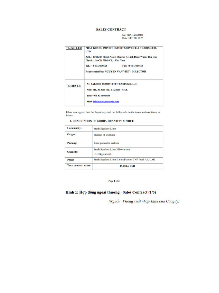 BCT | PDF