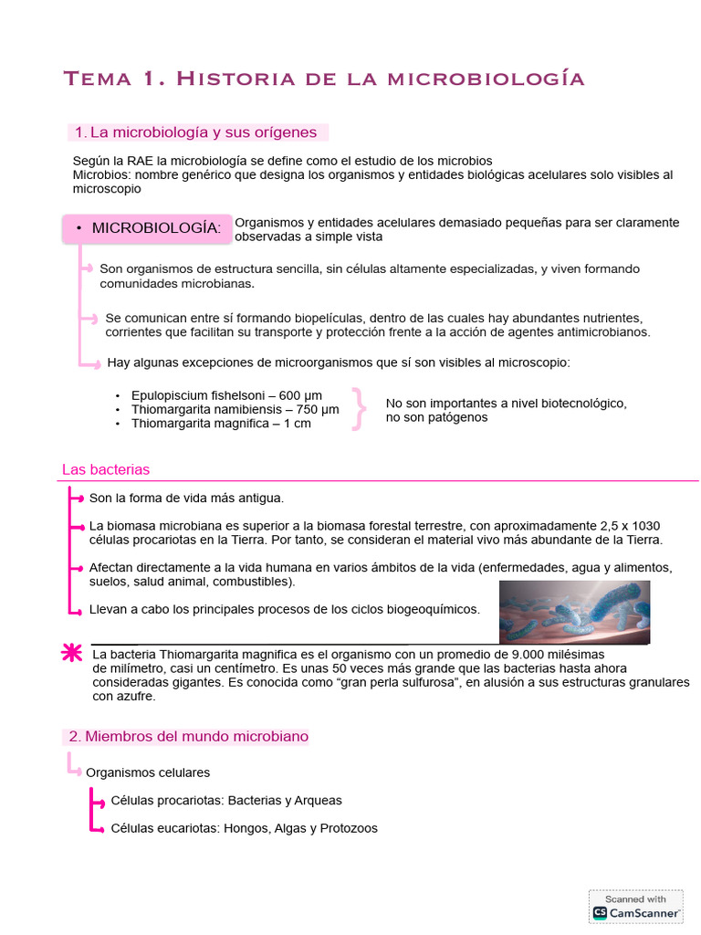 Tema 1. Historia de La Microbiología | PDF | Microorganismo ...