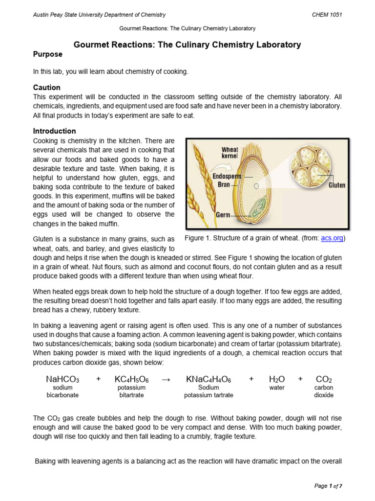 6 - Gourmet Reactions - Muffins - S26 | PDF | Sodium Bicarbonate | Food ...