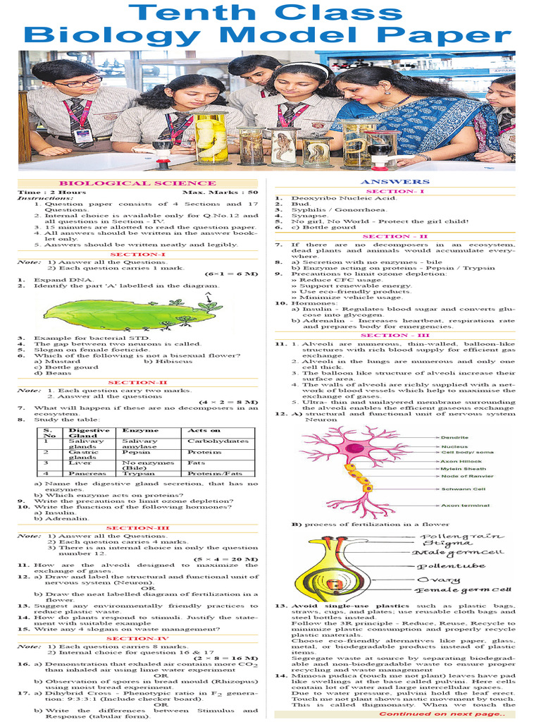 AP - Biology - ModelQuestionPaper | PDF | Digestion | Blood Cell