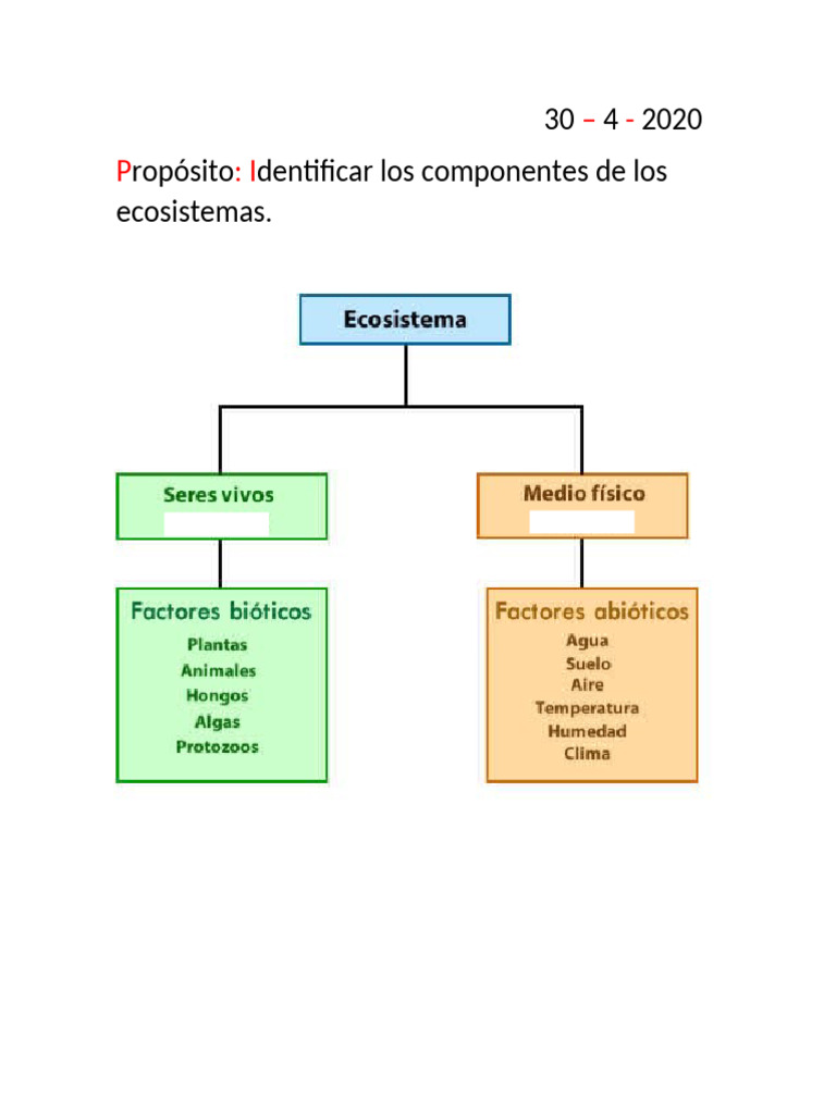 Clases Ecosistema | PDF