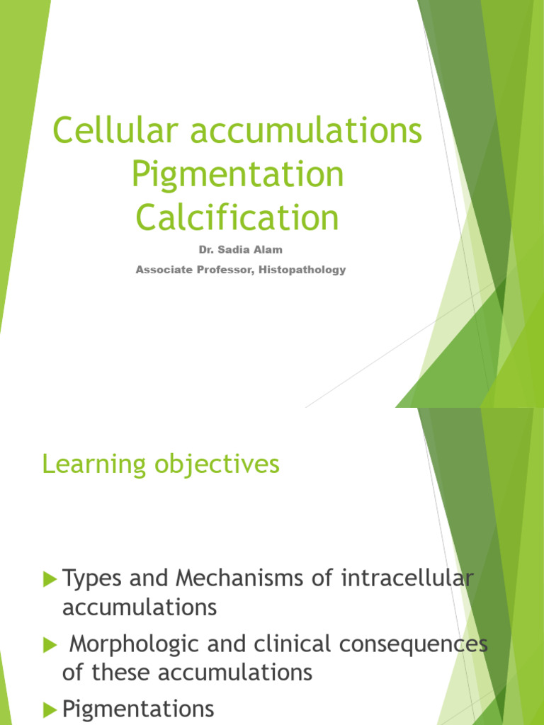 Cellular Accumulations &Pigmentation Calcification | PDF