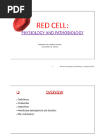 Labeled Diagram of Red Blood Cells | PDF | Red Blood Cell | Blood