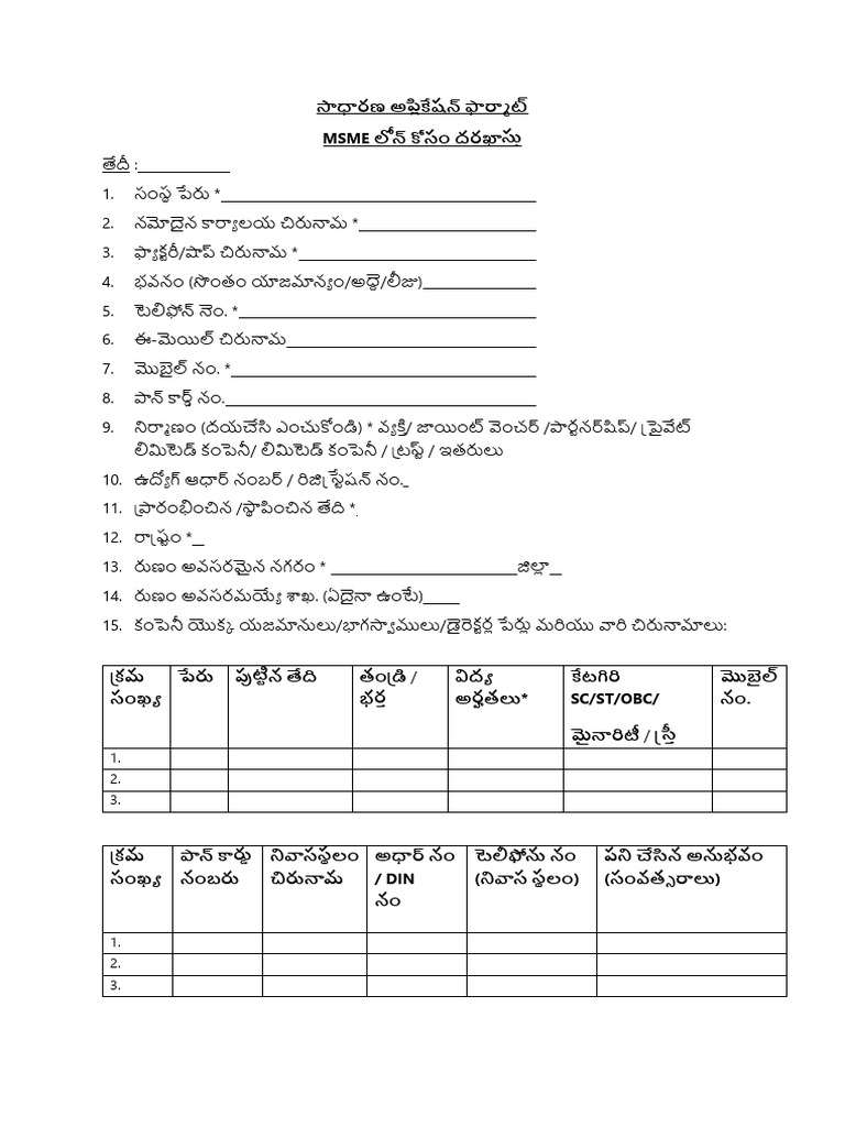 4.ApplicationFormSimplified MSEs | PDF
