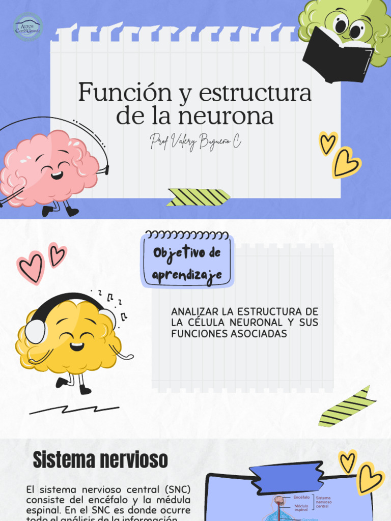 Sistema Nervioso | PDF | Sinapsis | Neurona