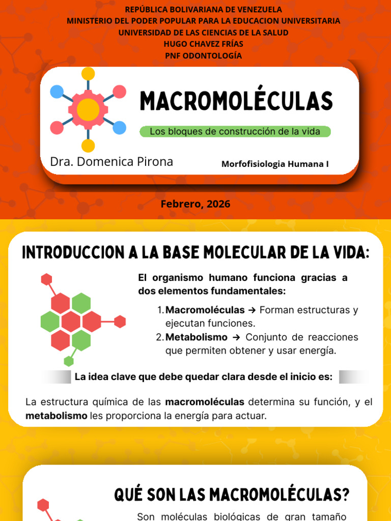 Introducción A Las Macromoléculas MF1 | PDF | Metabolismo | Trifosfato ...
