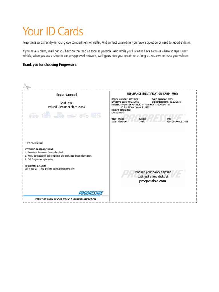 p Gr Insurance Id Card Auto | PDF