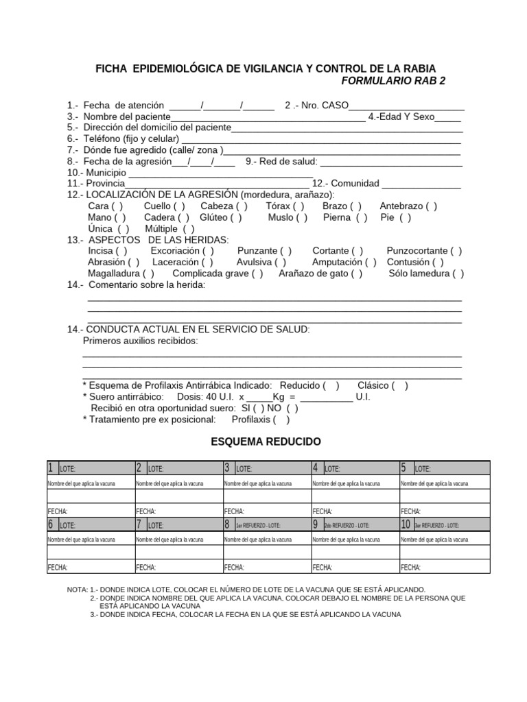 FICHA RAB 2 Modificado | PDF