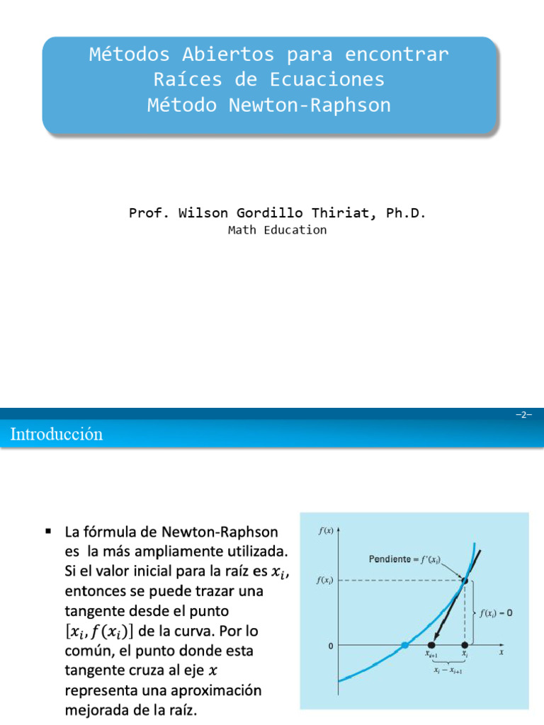 Newton Ranhson | PDF