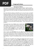 Fungi Characteristics and Classification | PDF | Fungus | Organisms