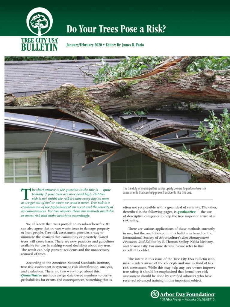 Treecity101 Summary | PDF | Pruning | Risk