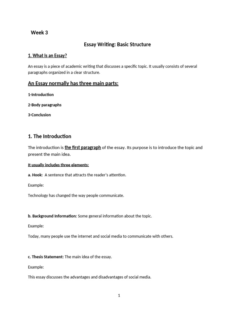 Week 3 Writing 2-Essay | PDF