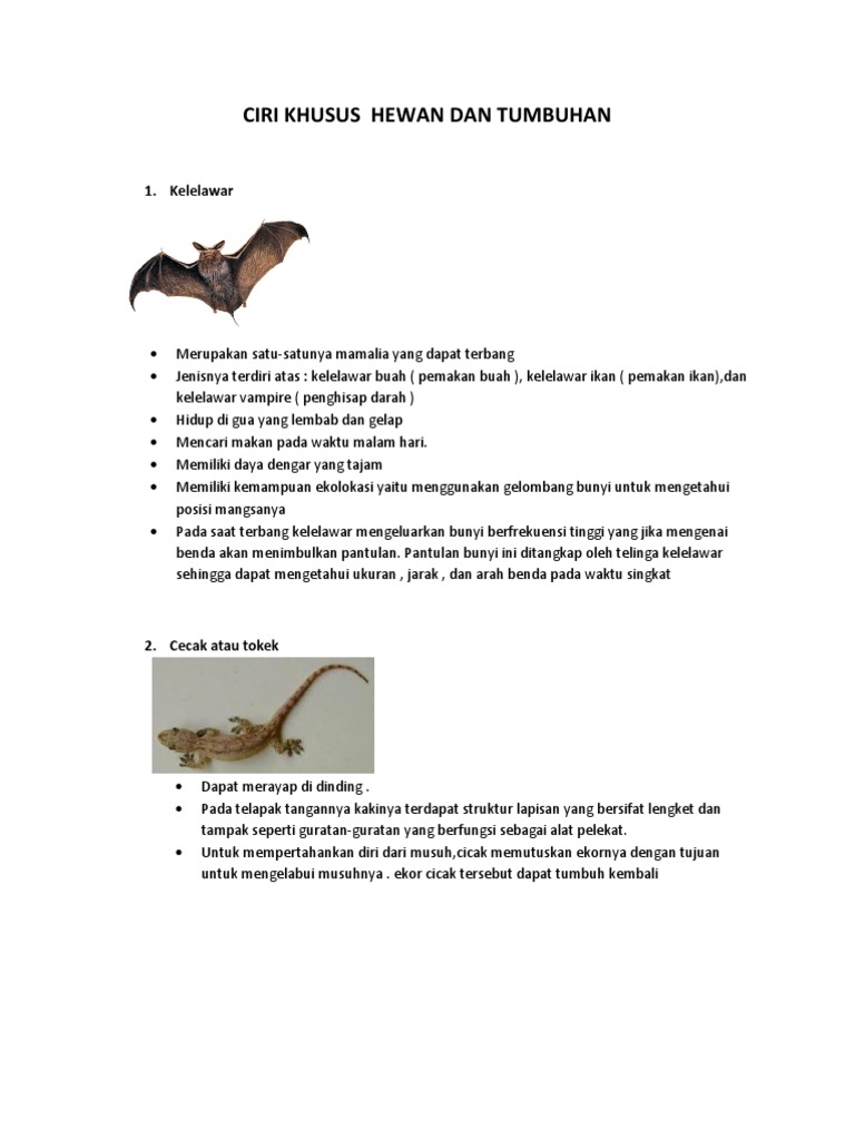 Ciri Khusus Hewan Dan Tumbuhan Pdf