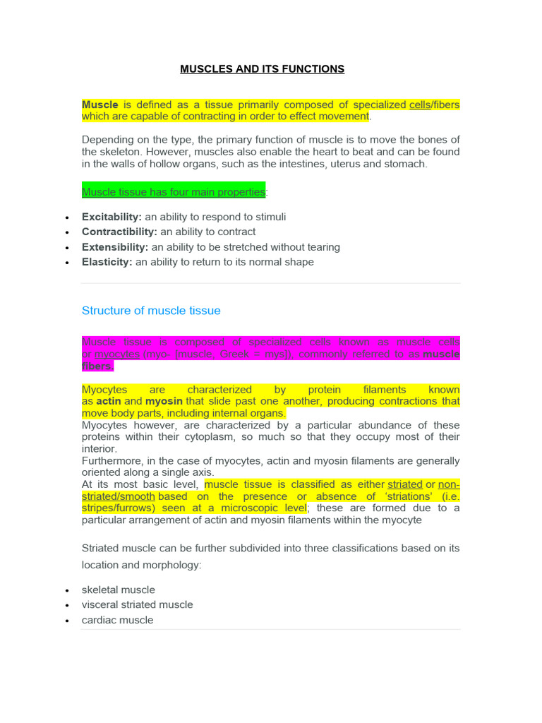 Muscles and Its Functions | PDF