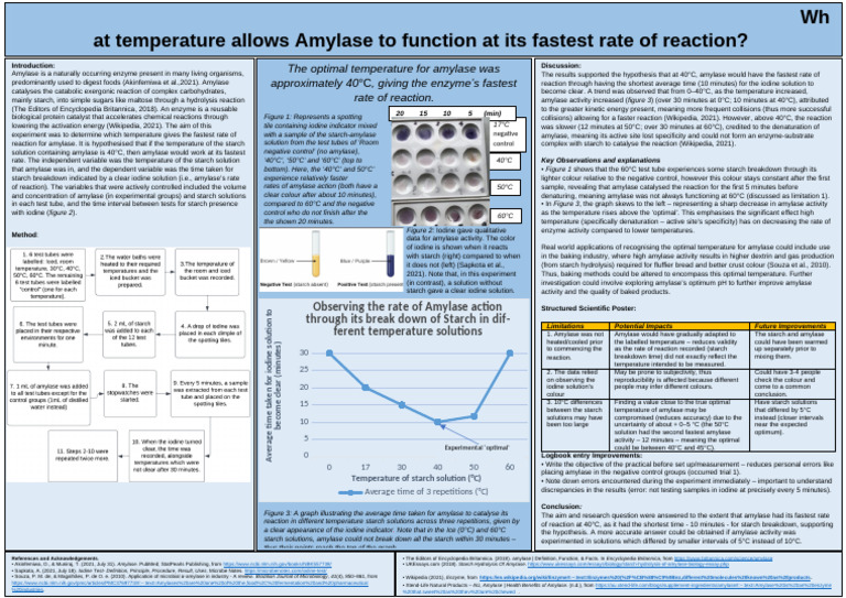 Unit 4 SAC 5 Sample Poster Final | PDF | Enzyme | Chemical Reactions