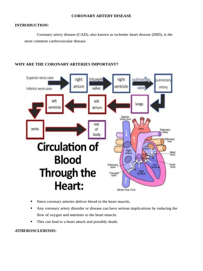 Coronary Artery Disease | PDF | Coronary Artery Disease | Atherosclerosis