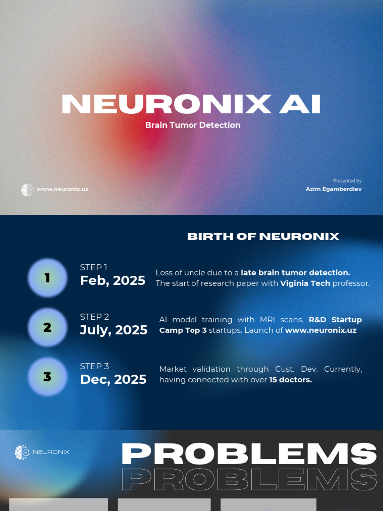 Neuronix Presentation (File) | PDF