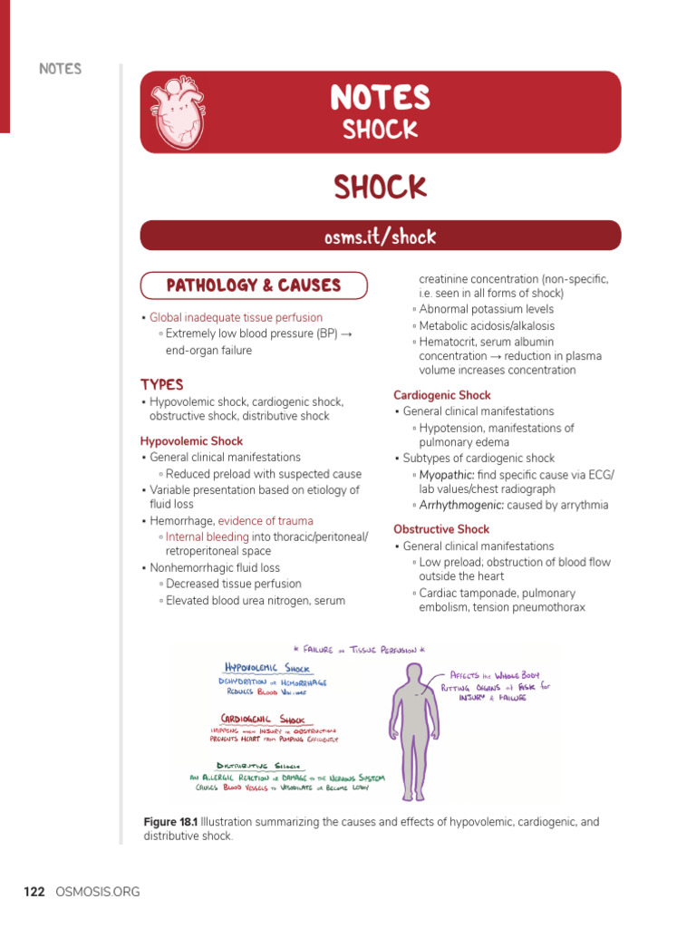 Shock | PDF