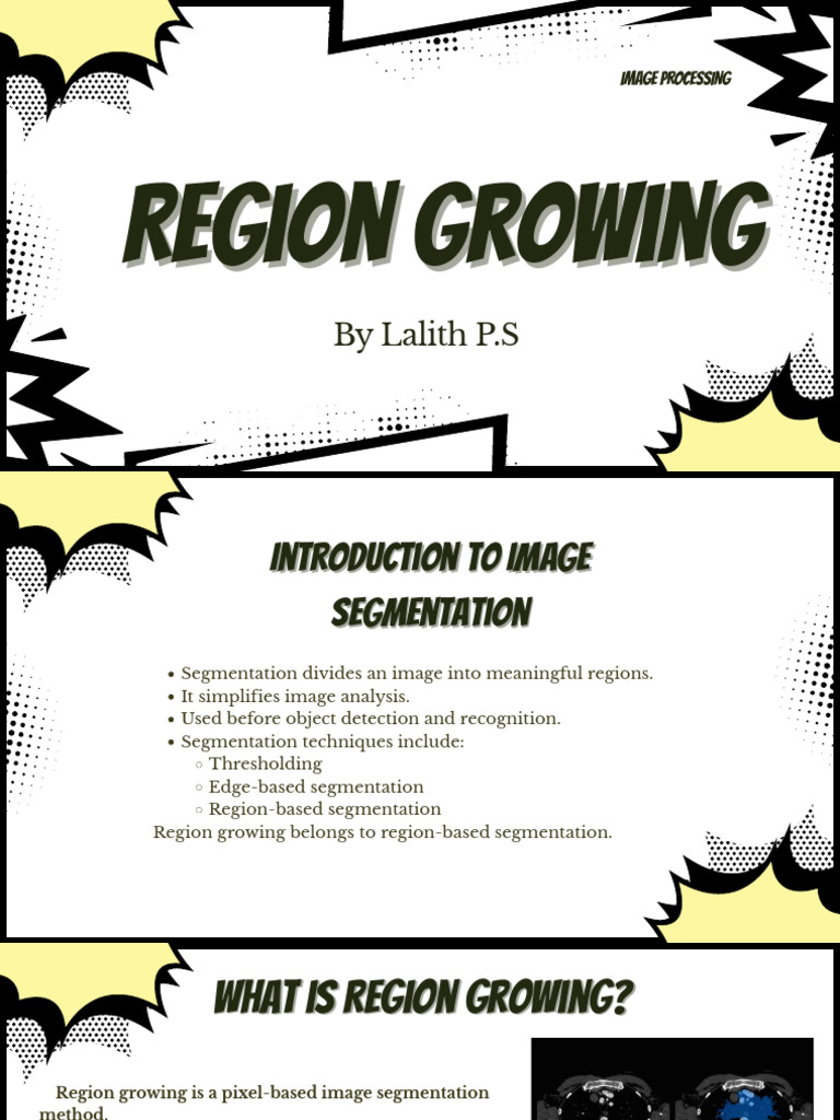 Image Processing Region Growing | PDF | Image Segmentation | Digital ...