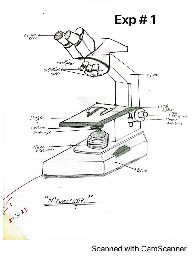Physiology Practical | PDF