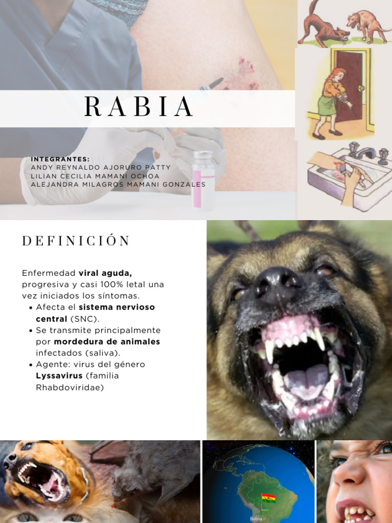 Rabia Humana - 20260327 - 192134 - 0000 | PDF | Rabia | Enfermedades y ...