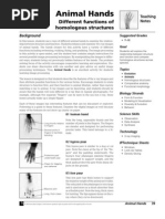 Download Animal Hands by danielle0146 SN102002768 doc pdf