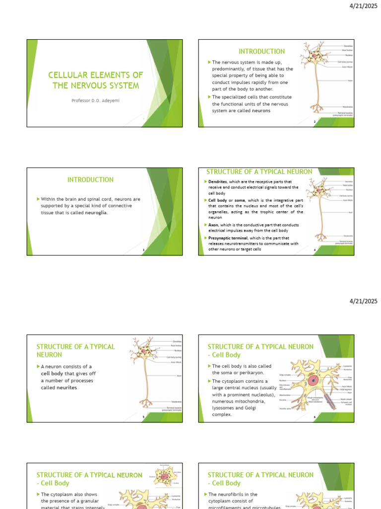 Cellular Elements of The Nervous System | PDF | Axon | Neuron