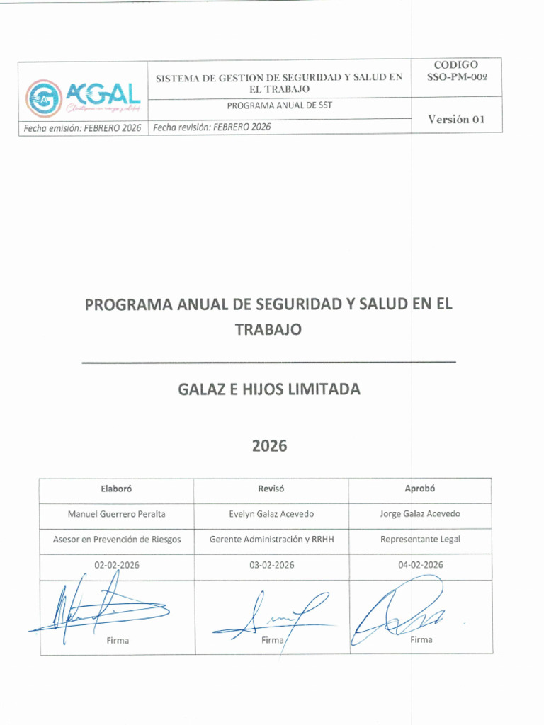 Programa Anual de Seguridad y Salud en El Trabajo | PDF