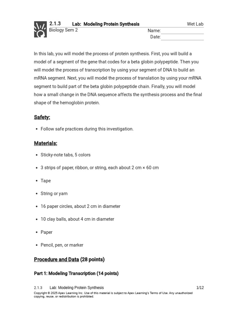 2.1.3 Lab - Modeling Protein Synthesis (Wet Lab) | PDF | Nucleic Acid ...